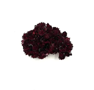 Hanna Liljenberg - Wine Red Flora Brooch