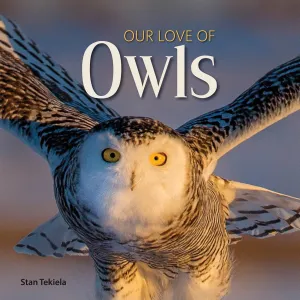 Our Love of Owls By  Stan Tekiela